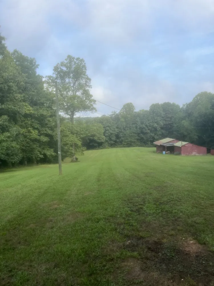 Custom landscape design for outdoor upgrades in Bassett, VA by Superior Lawn Care
