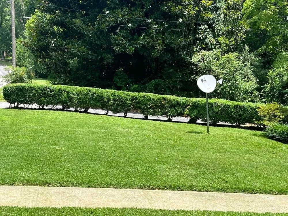 Affordable landscape design experts serving Bassett, VA - Superior Lawn Care
