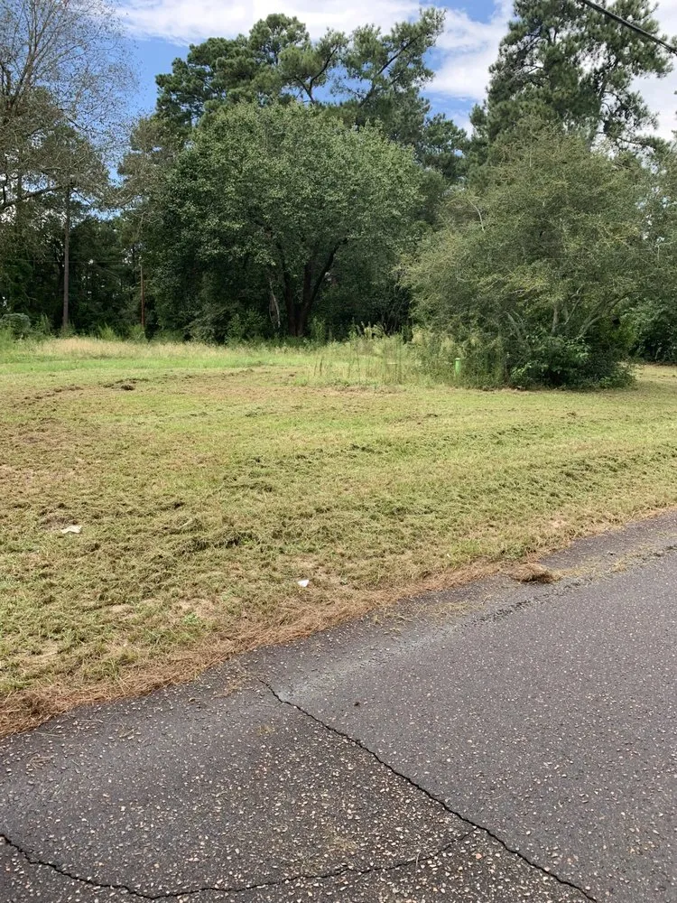 Top-rated landscaping services for year-round maintenance across Beech Island, SC - Superior Lawn Care