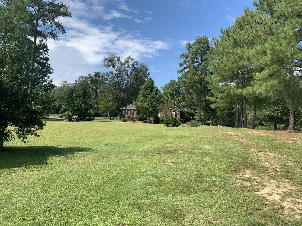 Custom yard cleanup service with custom design across Beech Island, SC - Superior Lawn Care