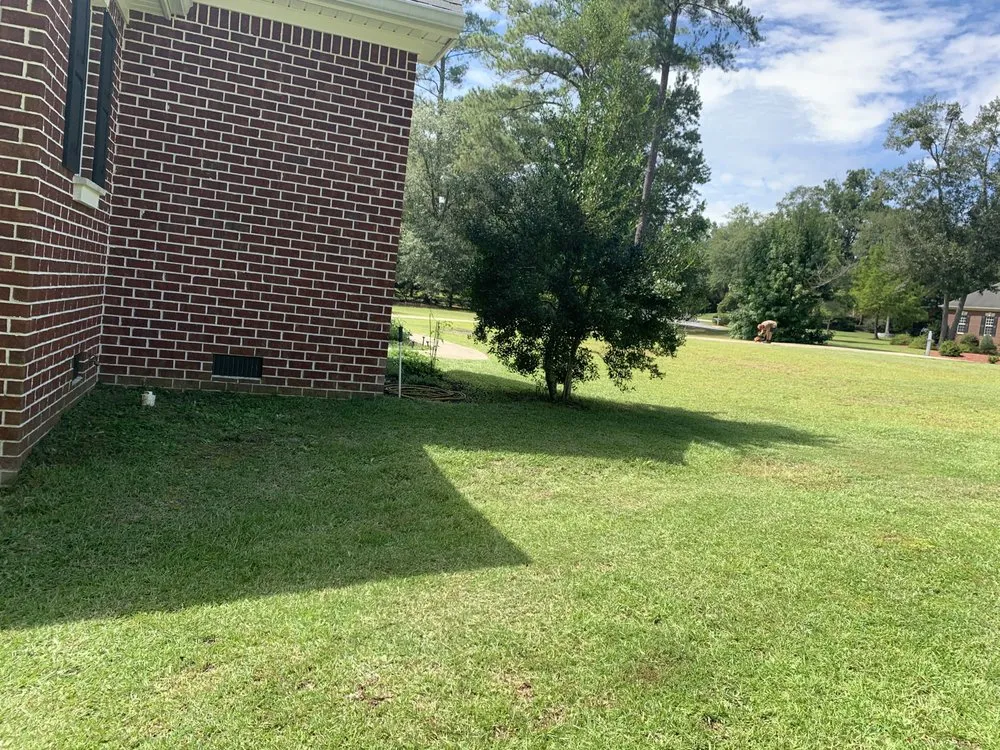 Custom lawn care service in Beech Island, SC - Superior Lawn Care