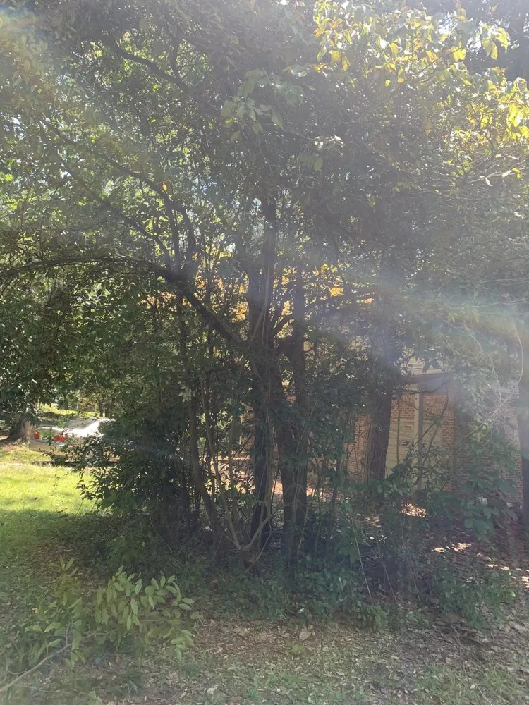 Custom landscape design experts serving Beech Island, SC - Superior Lawn Care