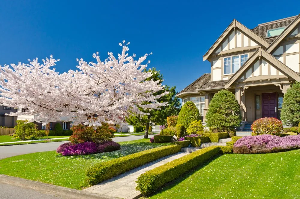 Affordable residential landscaping experts serving Lakeland, FL - Superior Lawn Care