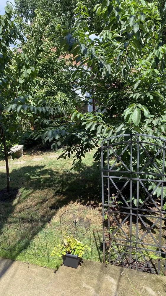 Reliable outdoor landscaping in New Stanton, PA by Superior Lawn Care