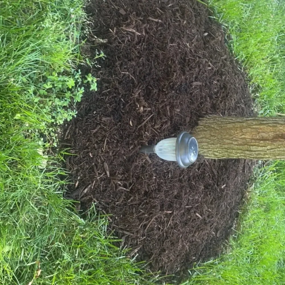 Trusted yard maintenance in Topeka, IN - Superior Lawn Care