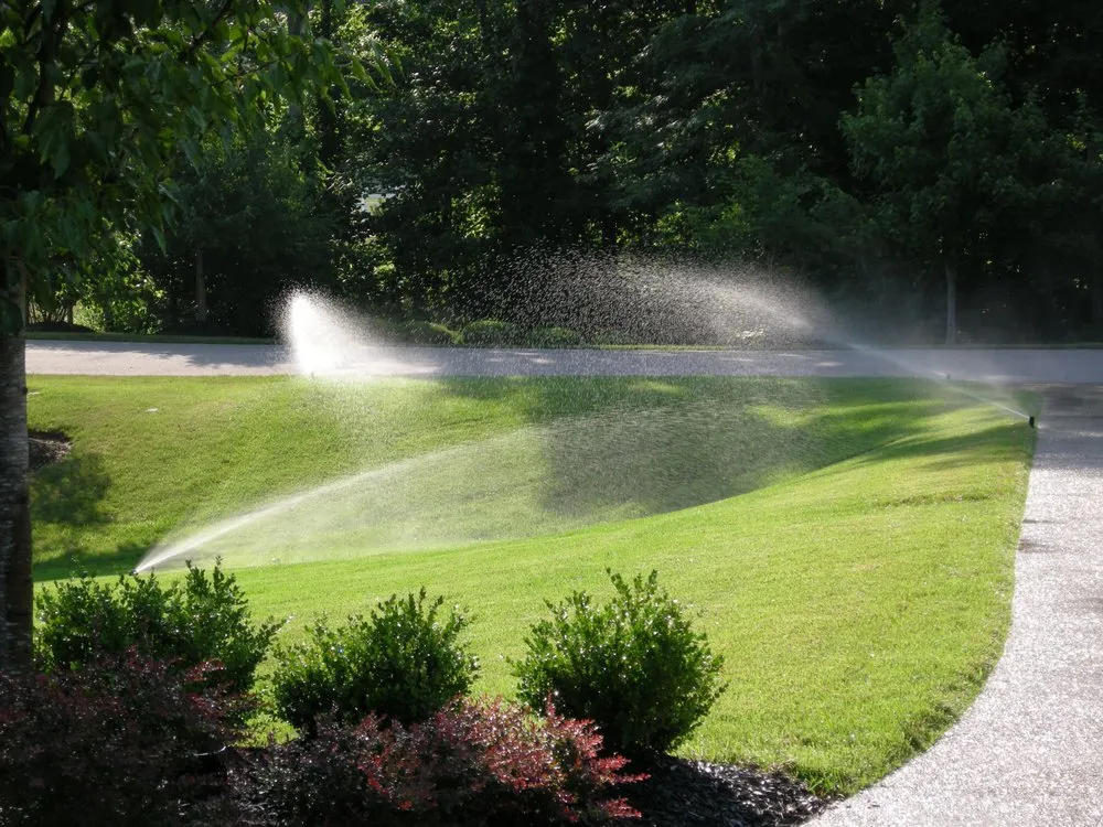 Local yard cleanup service experts serving Madison Heights, MI - Superior Lawn Irrigation