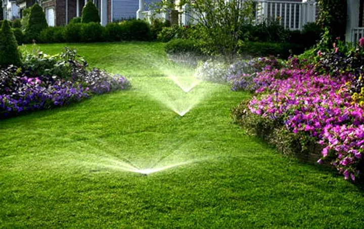 Local lawn care service experts serving Madison Heights, MI - Superior Lawn Irrigation