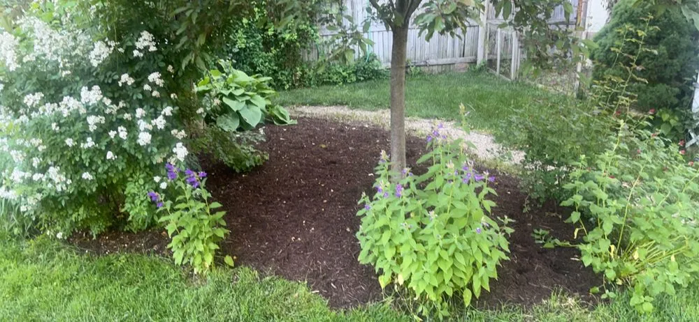 Top-rated yard maintenance in Topeka, IN by Superior Lawn Mowing