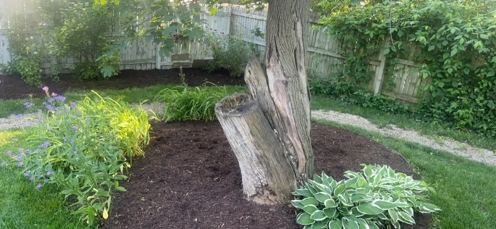 Expert landscaping services in Topeka, IN by Superior Lawn Mowing