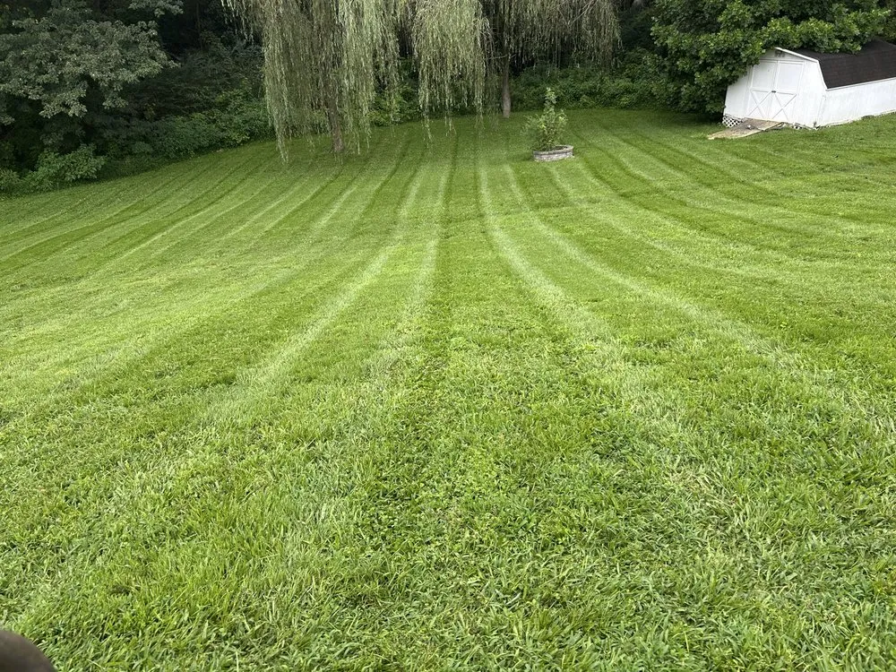Professional landscaping services for beautiful yards in Mount Airy, NC by Superior Lawn Service