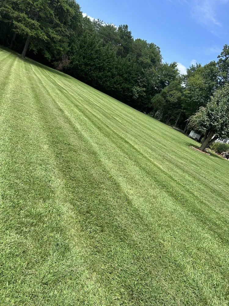 Professional yard cleanup service in Mount Airy, NC by Superior Lawn Service