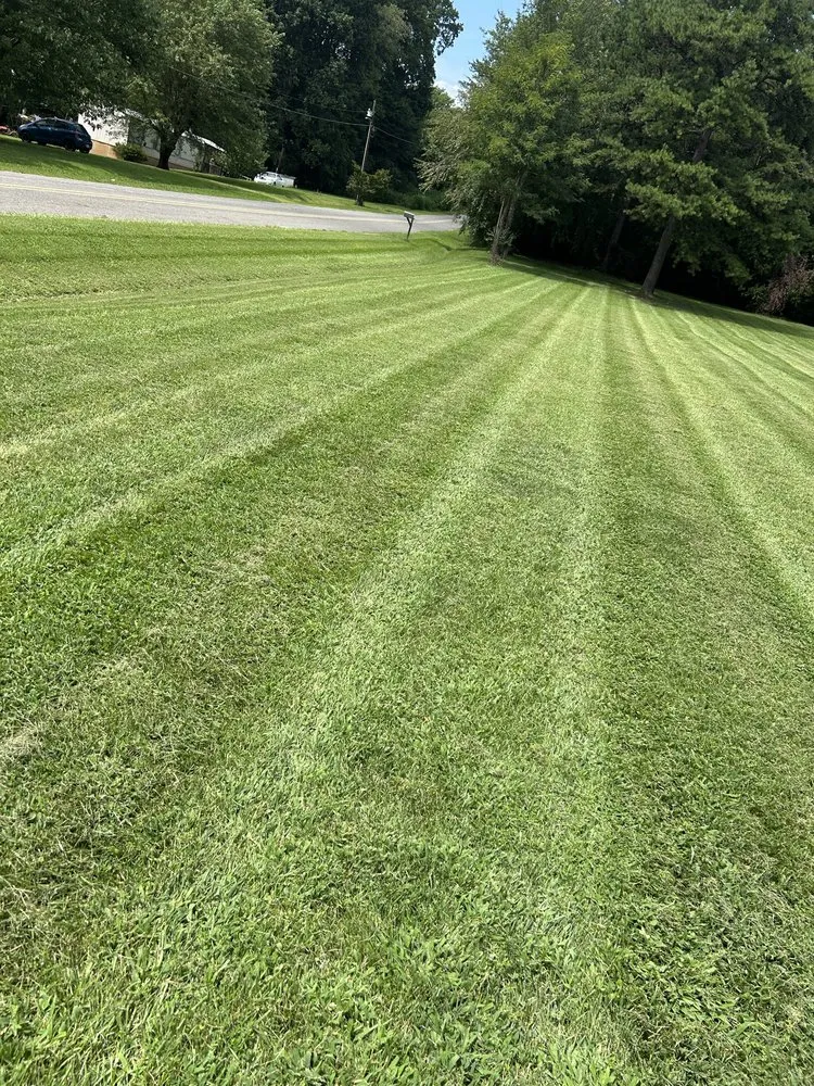 Local landscape design in Mount Airy, NC - Superior Lawn Service
