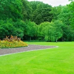 Reliable yard maintenance experts serving Owensboro, KY - Superior Lawn Service