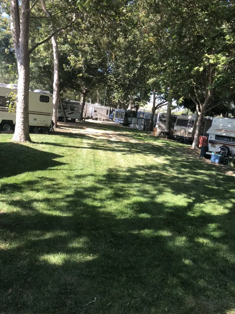 Top-rated lawn care service in Medford, OR - Superior Lawn Services