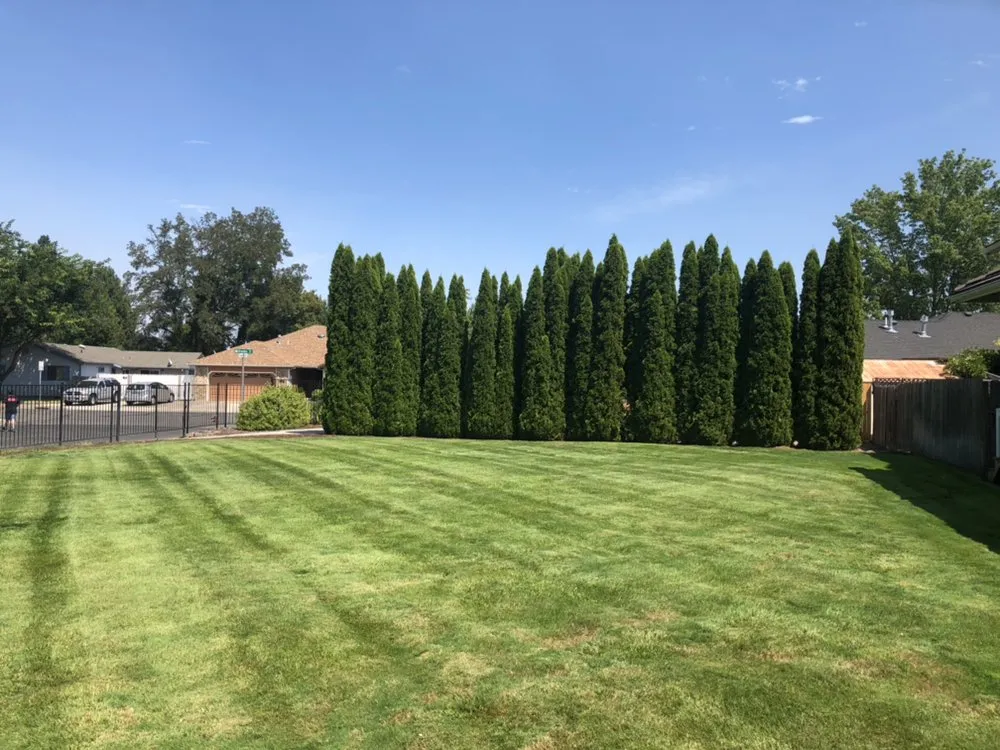 Custom garden landscaping in Medford, OR - Superior Lawn Services