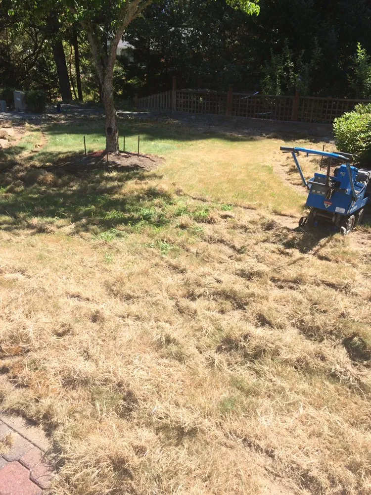 Local residential landscaping experts serving Medford, OR - Superior Lawn Services