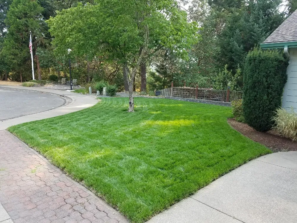 Custom landscape installation in Medford, OR by Superior Lawn Services