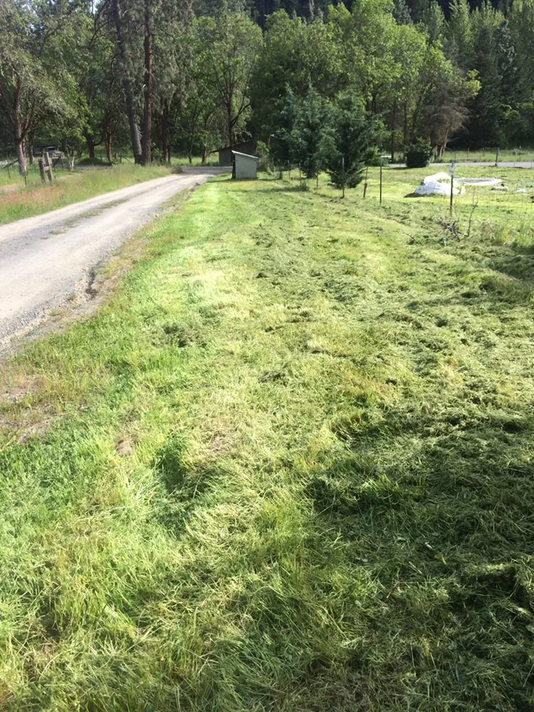 Affordable landscape installation experts serving Medford, OR - Superior Lawn Services