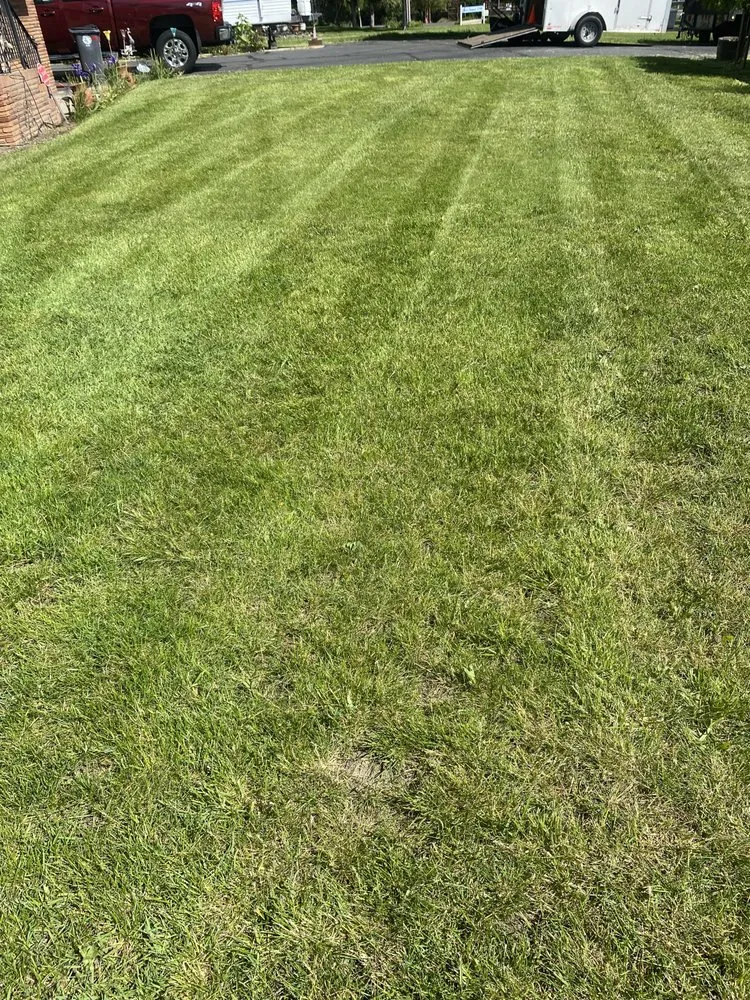 Custom landscape installation in Medford, OR - Superior Lawn Services
