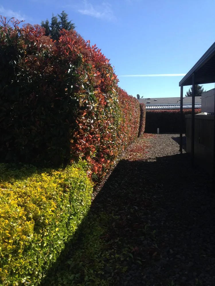 Local garden landscaping with custom design in Medford, OR by Superior Lawn Services