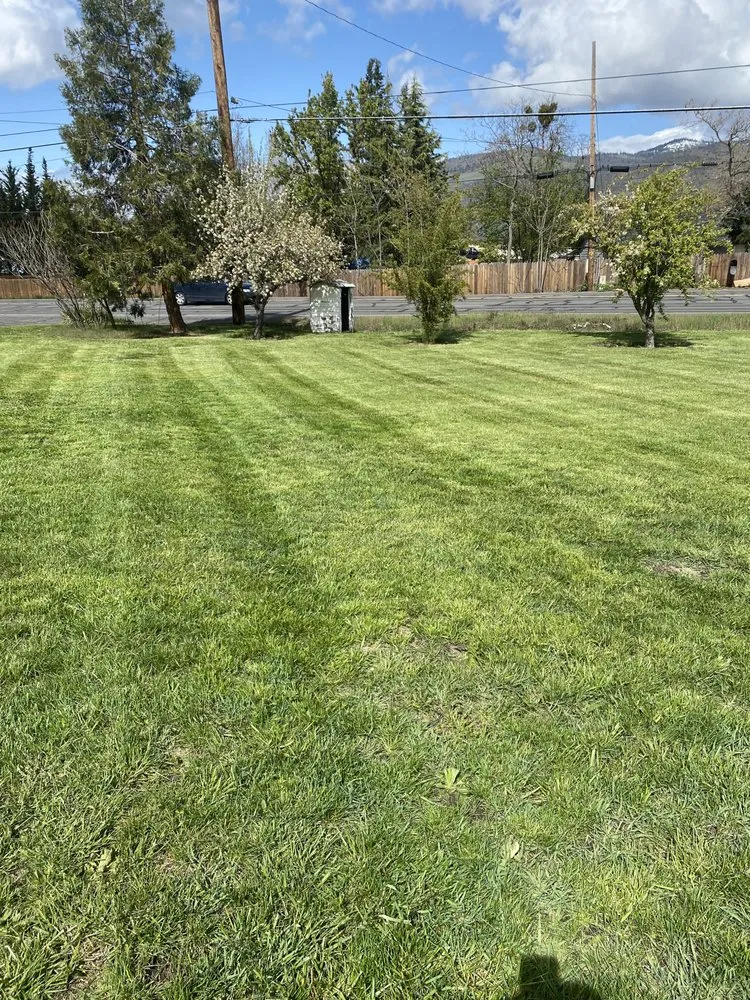 Reliable yard cleanup service experts serving Medford, OR - Superior Lawn Services