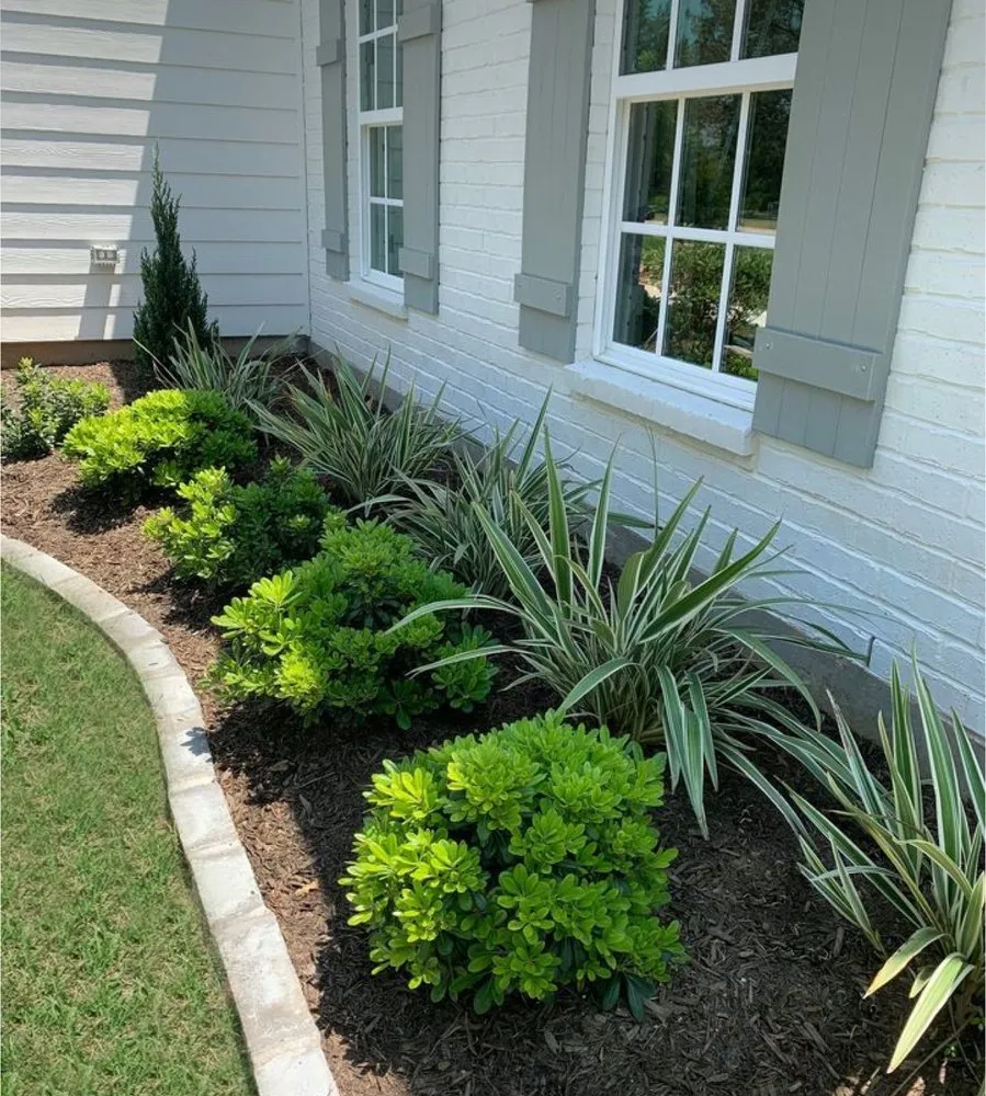 Reliable yard cleanup service experts serving Mount Hope, AL - Superior Lawn Solutions