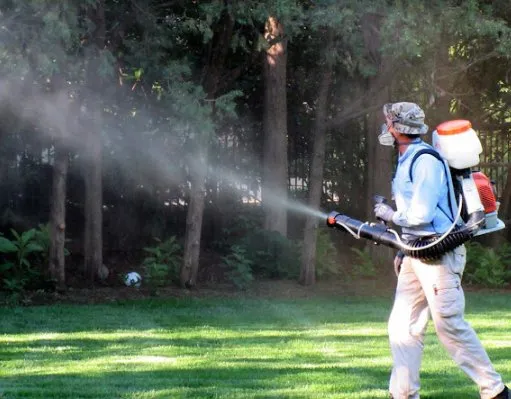 Affordable landscape installation for outdoor upgrades across Oklahoma City, OK - Superior Lawn Solutions