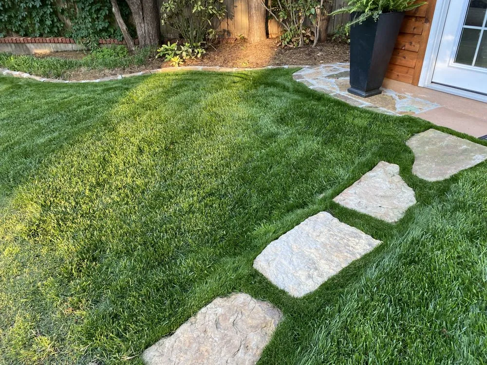 Reliable landscape installation in Oklahoma City, OK by Superior Lawn Solutions