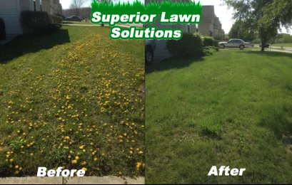 Local yard maintenance for year-round maintenance across Oklahoma City, OK - Superior Lawn Solutions