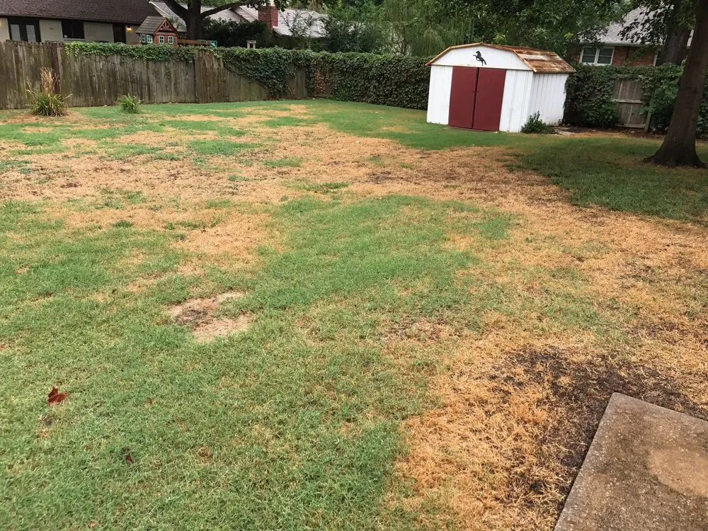 Professional outdoor landscaping with custom design across Tulsa, OK - Superior Lawn