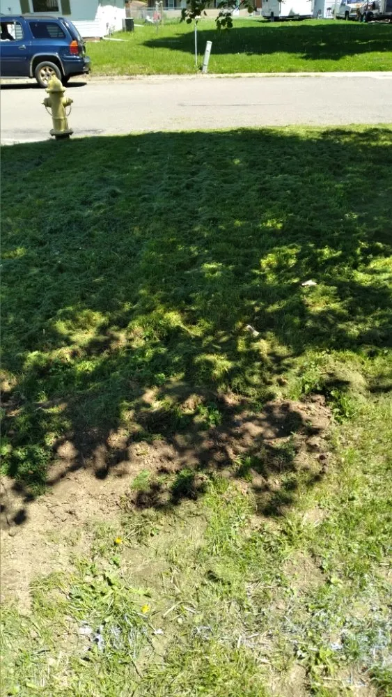 Reliable yard cleanup service in Peoria, IL - Superior Lawncare And Landscaping