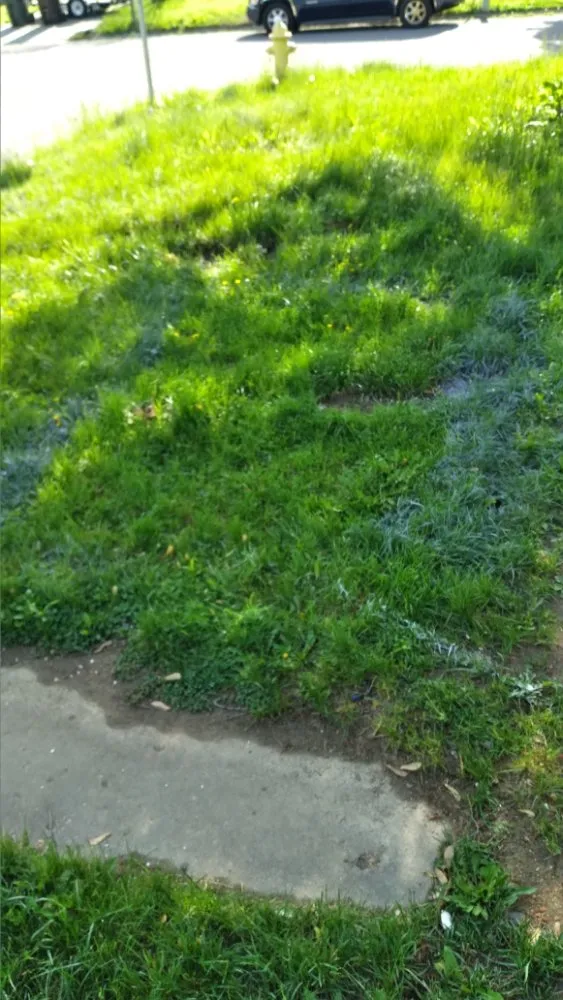 Top-rated garden landscaping for homes across Peoria, IL - Superior Lawncare And Landscaping