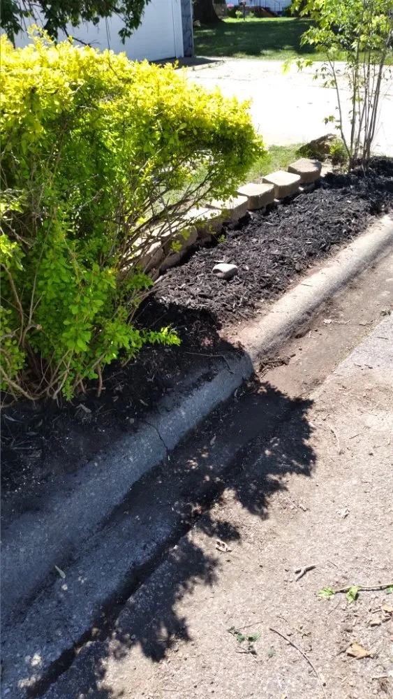 Professional yard cleanup service experts serving Peoria, IL - Superior Lawncare And Landscaping