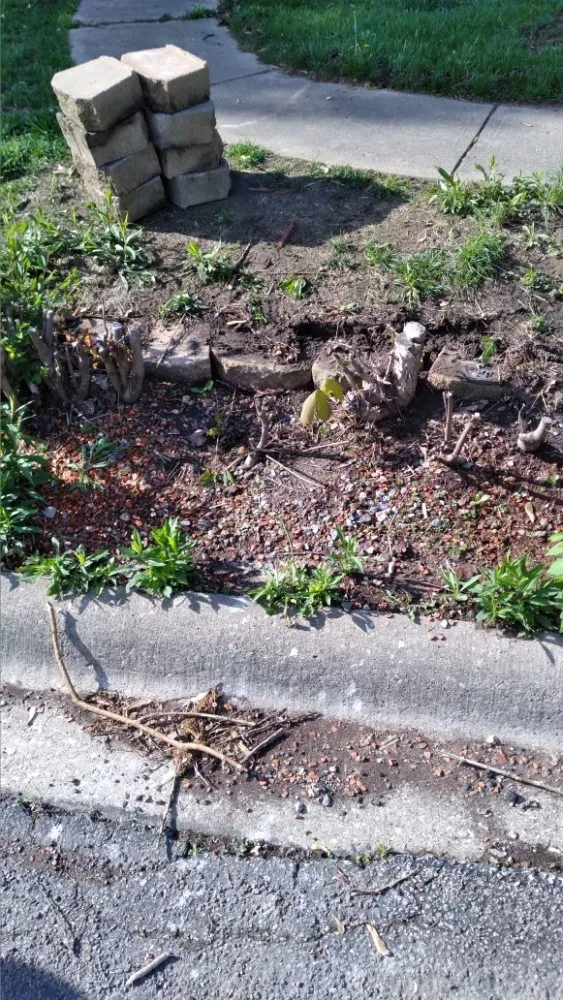 Professional yard maintenance in Peoria, IL - Superior Lawncare And Landscaping