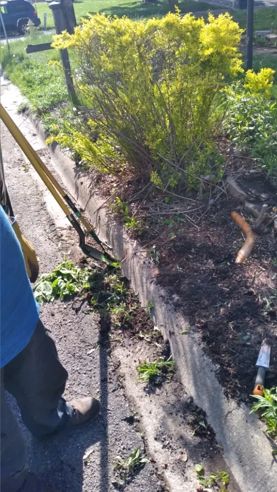 Custom landscaping services in Peoria, IL - Superior Lawncare And Landscaping