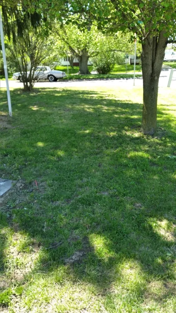 Custom garden landscaping for beautiful yards across Peoria, IL - Superior Lawncare And Landscaping