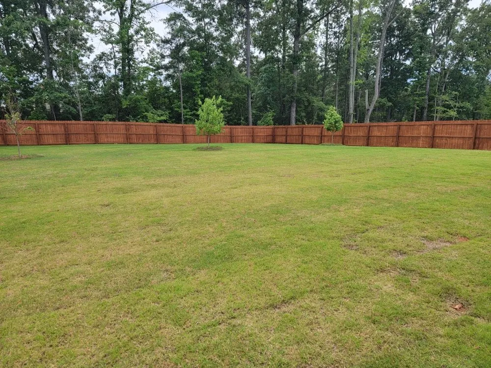 Affordable outdoor landscaping in Hampton, GA by Superior Lawncare