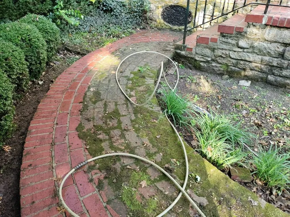 Professional yard maintenance for residential properties in Junction City, KY by Superior Lawncare