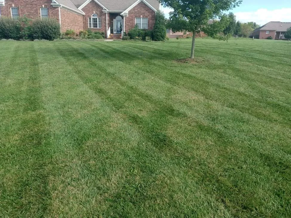 Custom residential landscaping in Junction City, KY - Superior Lawncare