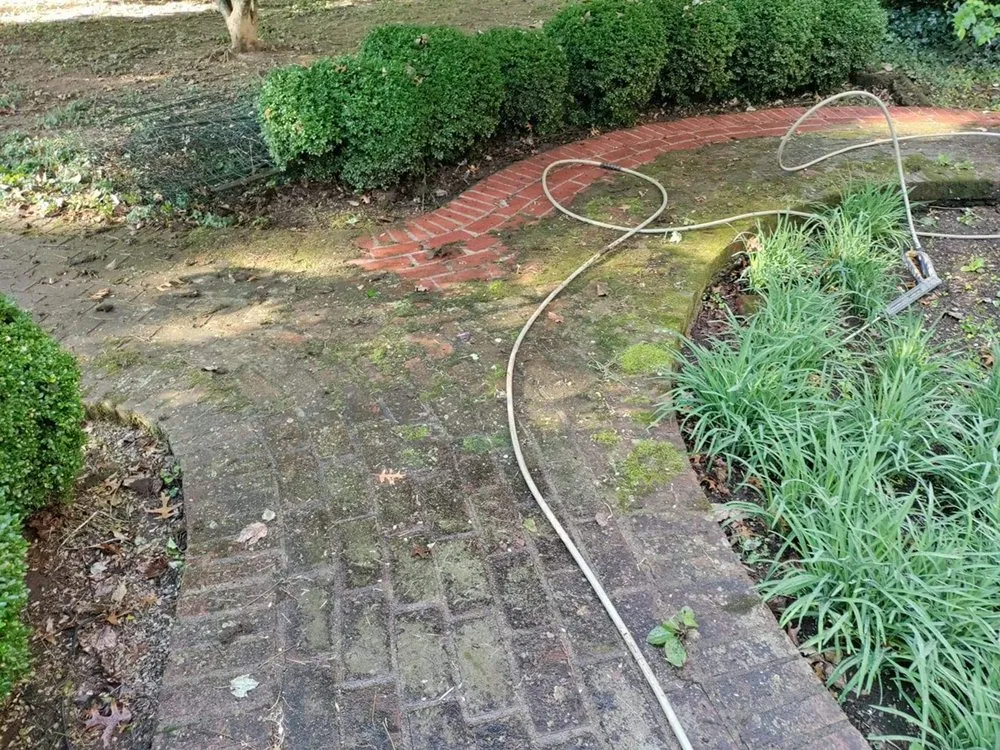 Local lawn care service near you in Junction City, KY by Superior Lawncare