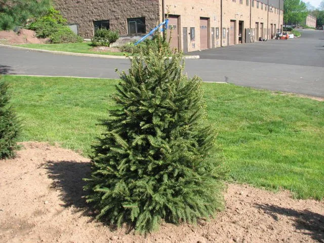 Expert landscaping services with custom design in Congers, NY by Superior Lawns and Landscaping