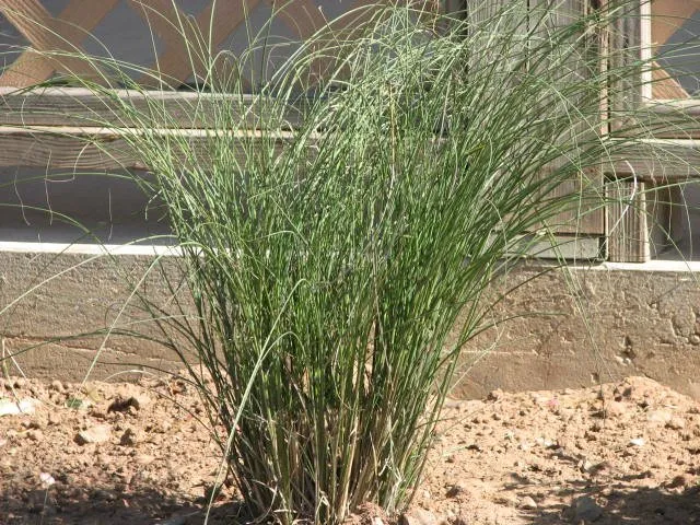 Local garden landscaping in Congers, NY by Superior Lawns and Landscaping