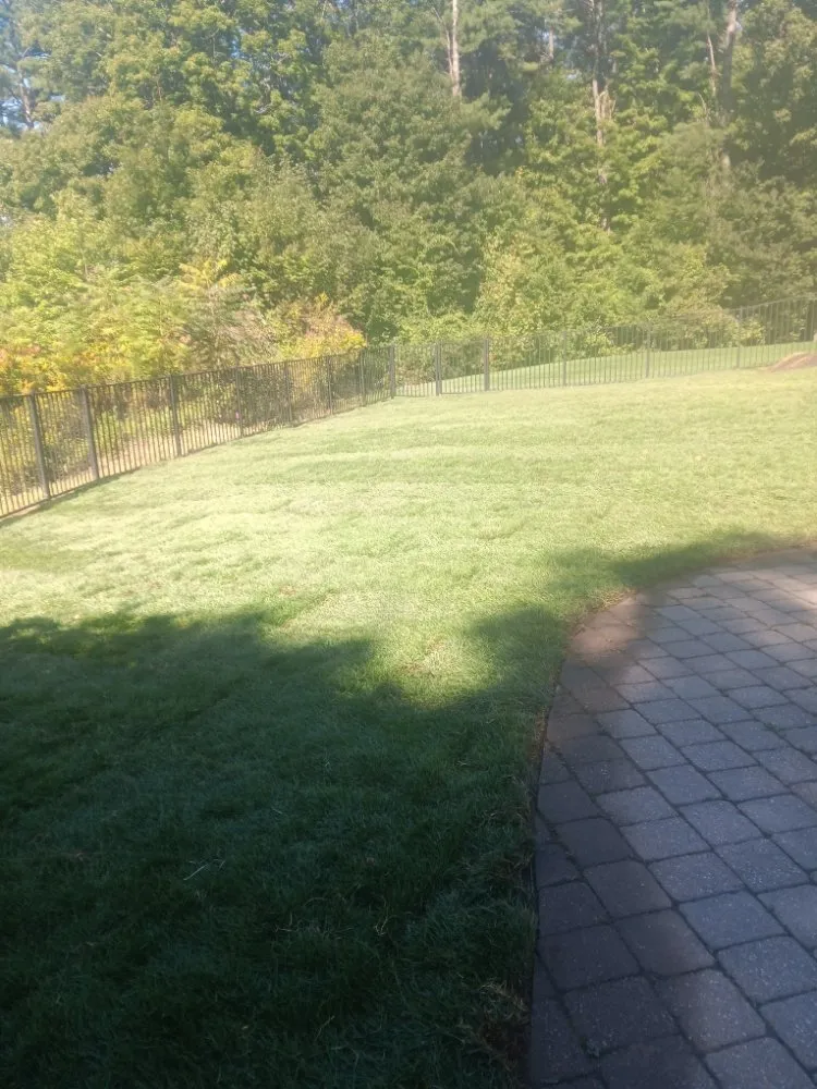 Custom yard maintenance for outdoor upgrades across North Adams, MA - Superior Maintenance