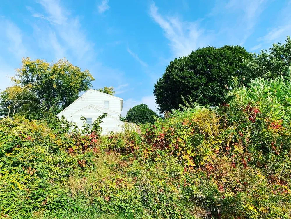 Reliable garden landscaping experts serving Methuen, MA - Superior