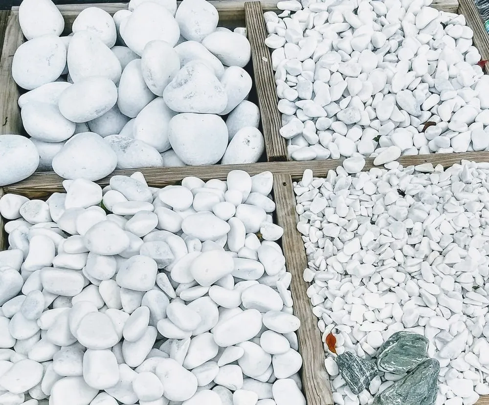 Local yard cleanup service for homes in Saint Augustine Shores, FL by Superior Outdoor Design