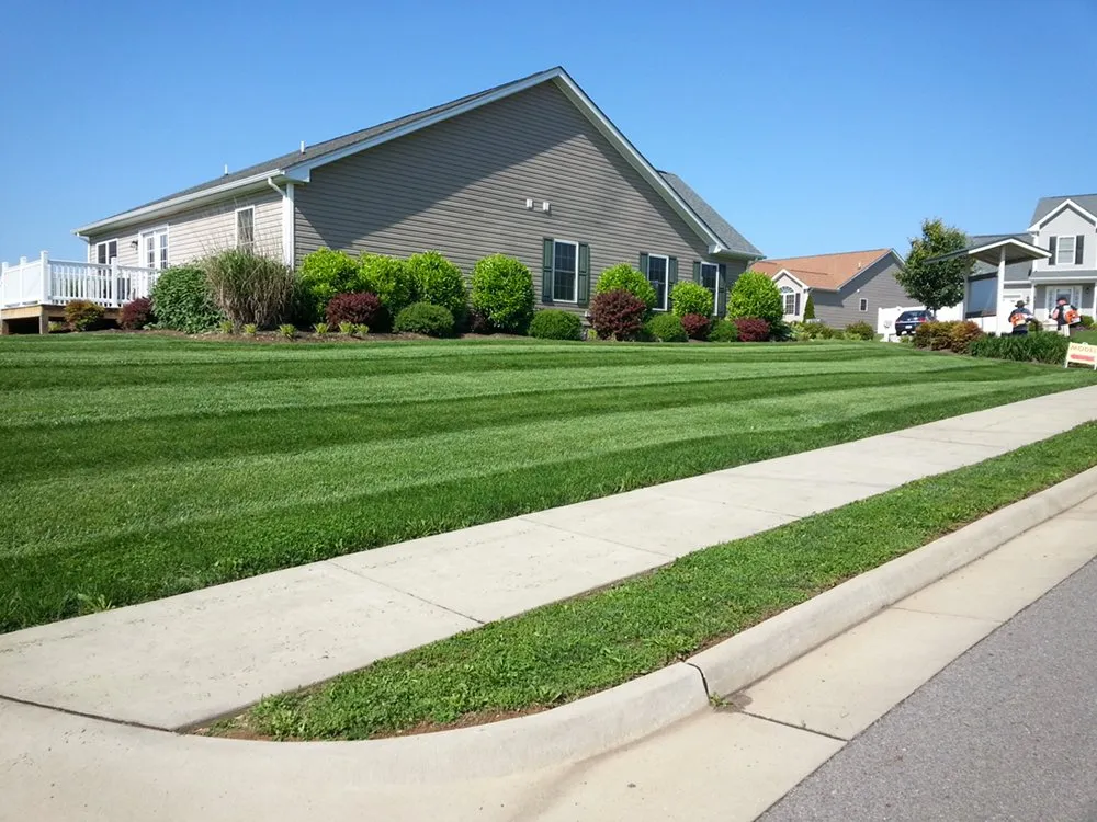 Affordable yard cleanup service in Dacula, GA - Superior Outside Services