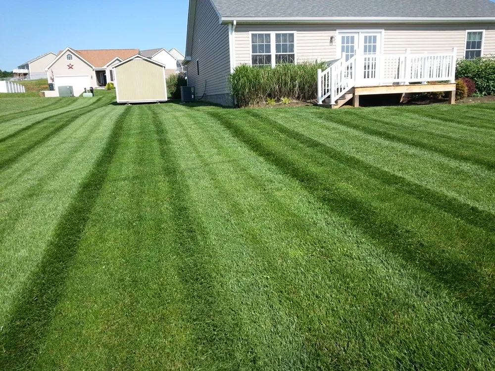 Local garden landscaping experts serving Dacula, GA - Superior Outside Services