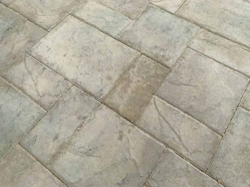 Affordable yard cleanup service in San Jose, CA - Superior Paver Restoration