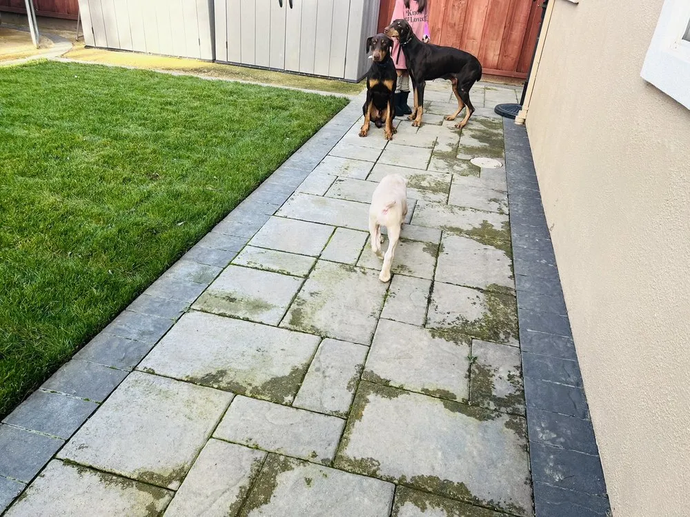 Expert landscape design in San Jose, CA by Superior Paver Restoration