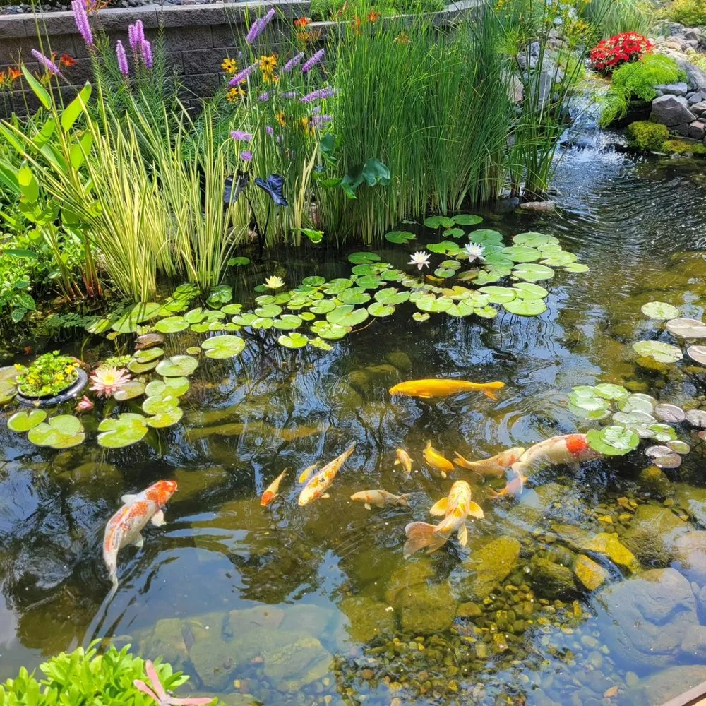 Custom yard cleanup service experts serving Prior Lake, MN - Superior Ponds